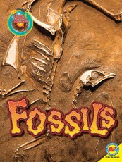 Fossils