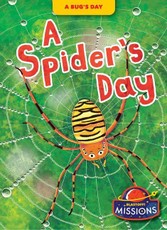 A Spider's Day