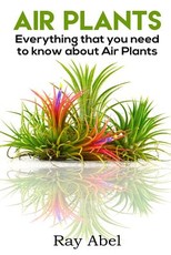 Air Plants