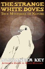 The Strange White Doves