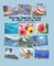 Relaxing Hawaiian Scenes