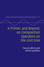 A Primer, and Beyond, on Composition Operators on the Unit Disk