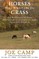 Horses Were Born to be on Grass
