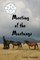Meeting of the Mustangs