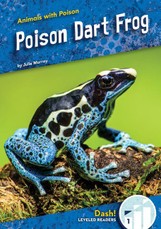 Poison Dart Frog