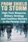 Dunnigan, J: From Shield to Storm