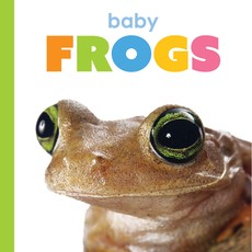 Baby Frogs