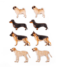 Magnetiniai knygos skirtukai „Dog“, 4vnt.
