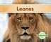 Leones (Lions) (Spanish Version)