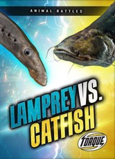 Lamprey vs. Catfish