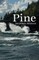 Pine