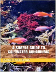 A Simple Guide to Saltwater Aquariums