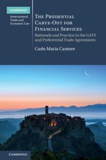 Prudential Carve-Out for Financial Services
