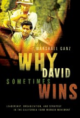 Why David Sometimes Wins