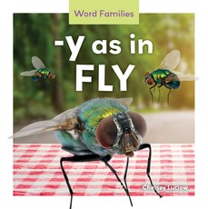 Y as in Fly