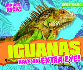 Iguanas Have an Extra Eye!