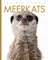 Meerkats