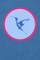 Hummingbird In Flight