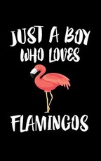 Just A Boy Who Loves Flamingos
