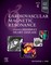 Cardiovascular Magnetic Resonance