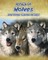 A Pack of Wolves