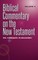 Biblical Commentary on the New Testament Vol. 4