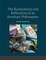 The Ruminations and Reflections of an Armchair Philosopher