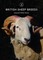 British Sheep Breeds
