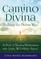 Camino Divina-Walking the Divine Way