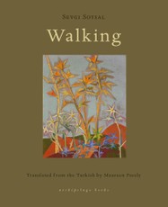 Walking