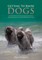 Getting to Know Dogs