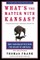What's the Matter with Kansas?