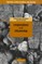 Corporations and Citizenship