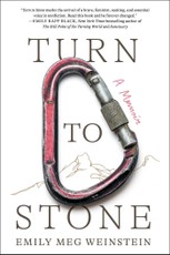 Turn to Stone