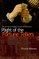Plight of the Fortune Tellers