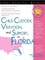 Child Custody, Visitation, and Support in Florida