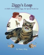 Ziggy's Leap