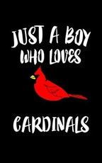 Just A Boy Who Loves Cardinals