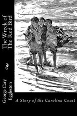 The Wreck of The Red Bird