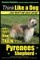 Pyrenees Shepherd, Pyrenean Shepherd Training AAA AKC - Think Like a Dog, But Don't Eat Your Poop! Pyrenees Shepherd Breed Expert Training