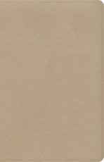 CSB Large Print Personal Size Reference Bible, Gold Leathertouch, Indexed