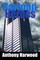 Cartoon Heroes: Book One of the Dark Skies Series