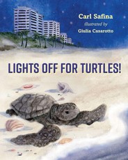 Lights Off for Turtles!