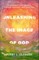 Unleashing the Image of God