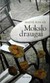 Mokslo draugai (2008)