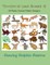 Terrestrial Land Animals 12