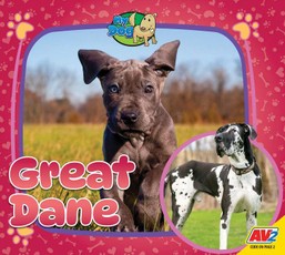 Great Dane