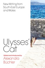 Ulysses' Cat