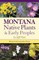 Montana Native Plants & Early Peoples