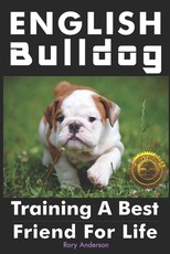 English Bulldog
